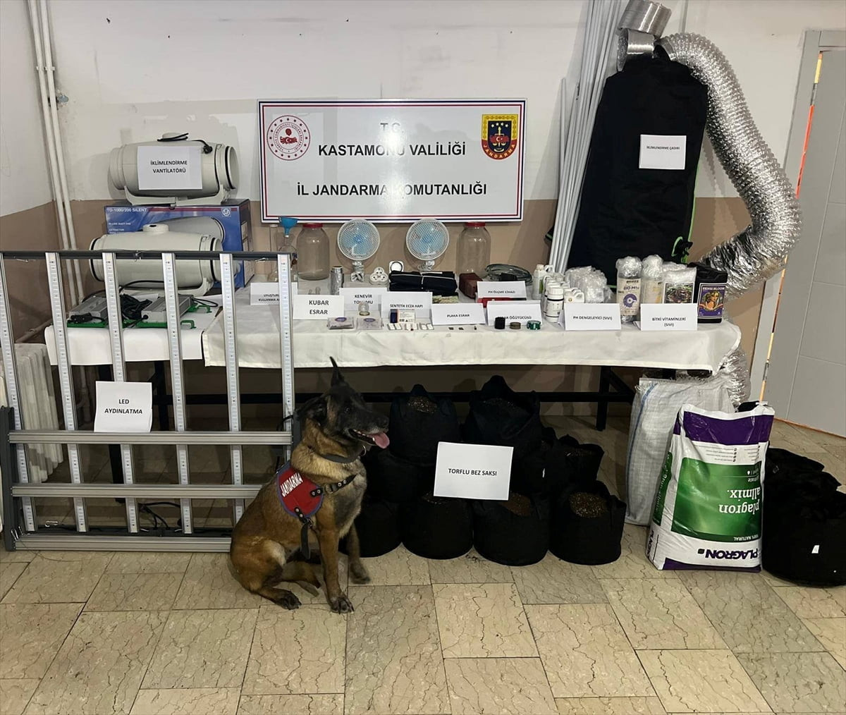 Kastamonu'da uyuşturucu operasyonunda 6 şüpheli gözaltına alındı. Adreslerdeki aramada 9 gram...