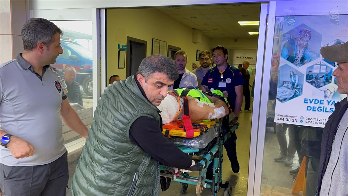 Kastamonu'nun Abana ilçesinde mantar toplarken ayının saldırısına uğrayan köy imamı yaralandı....