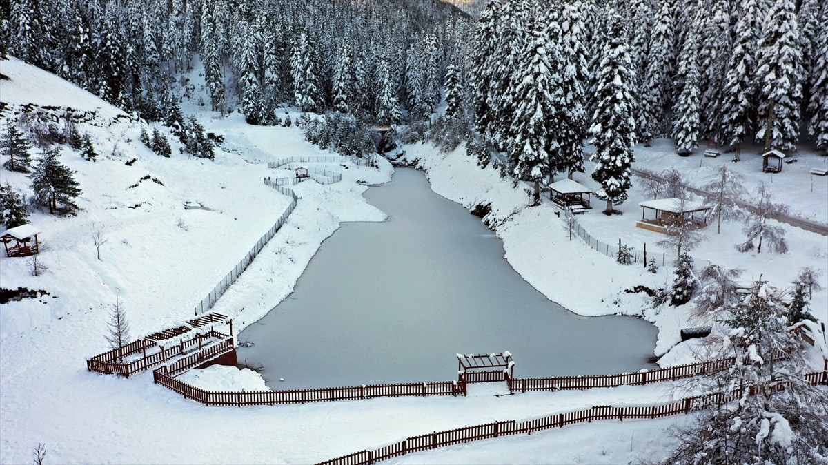 Kastamonu'nun Bozkurt ilçesinde kar yağışının ardından beyaza bürünen Deresökü Orman Parkı'nda...