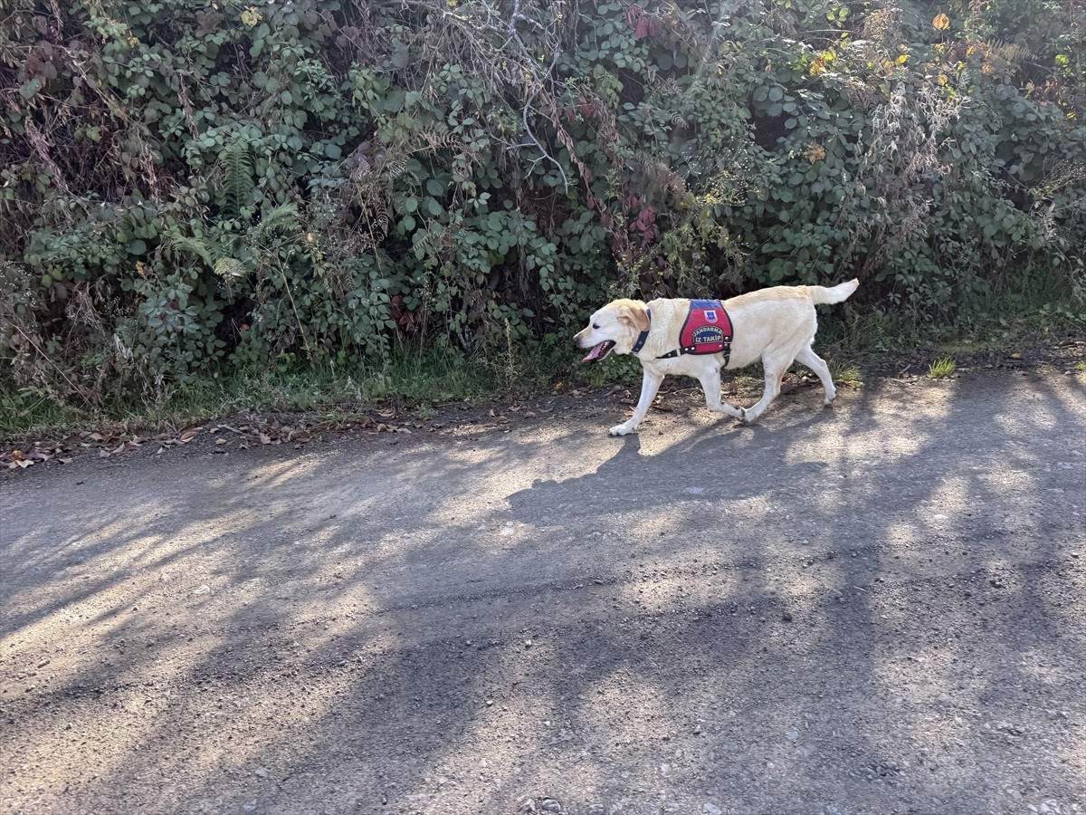 Kastamonu'nun Bozkurt ilçesinde üç gün önce evden ayrıldıktan sonra haber alınamayan kadın ile 5...