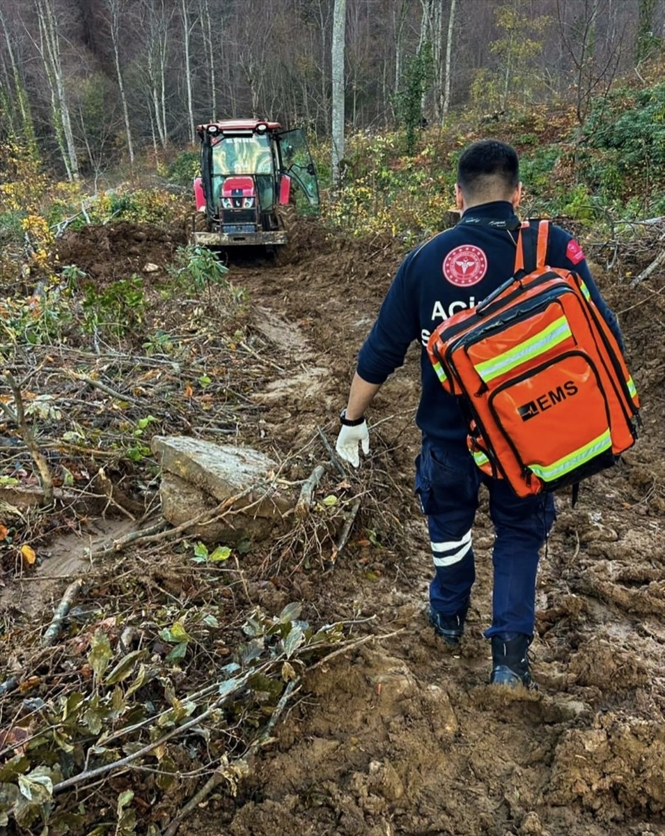 Kastamonu'nun Cide ilçesinde tomruk altında kalan orman işçisi yaralandı.