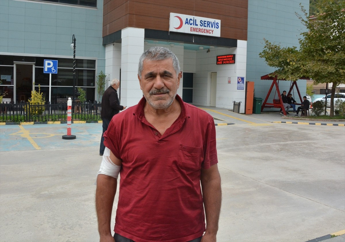 Kastamonu'nun İnebolu ilçesinde kestane toplarken karşılaştığı ayıdan kaçarken düşen çiftçi Adem...