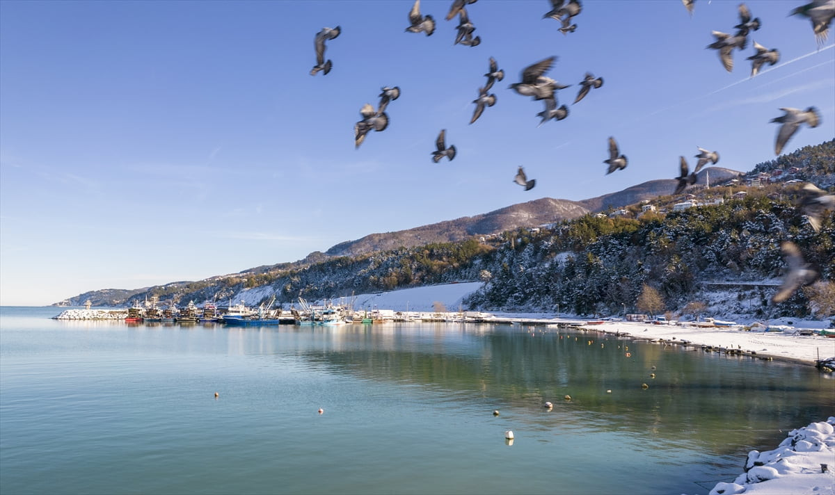Kastamonu'nun Karadeniz sahilindeki ilçeleri Bozkurt ve İnebolu'da kar yağışının ardından doğa...