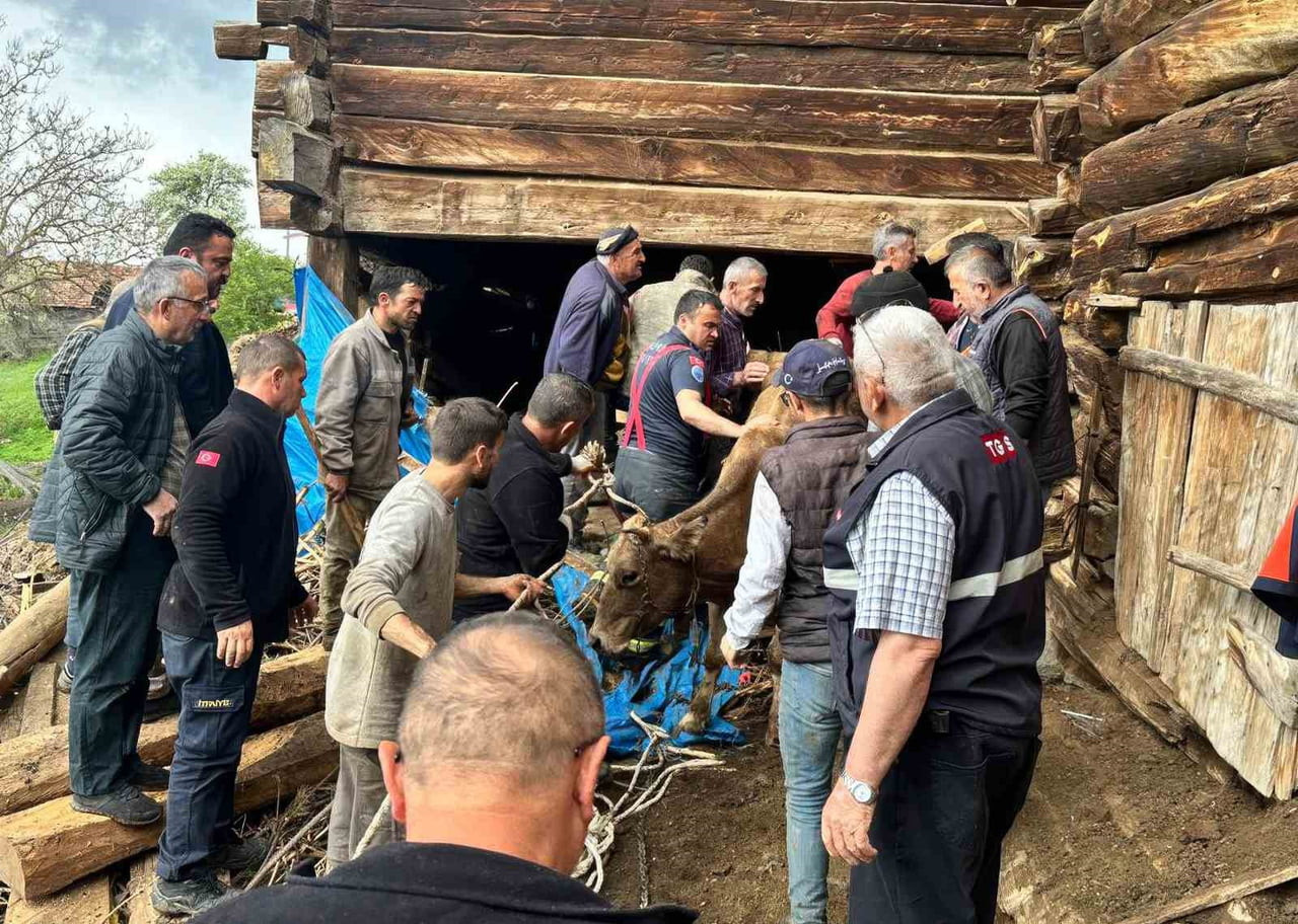 KASTAMONU'NUN TAŞKÖPRÜ İLÇESİNDE BİR AHIRIN ÇÖKMESİ SONUCU FATMA DEMİR (63) AĞIR YARALI OLARAK...