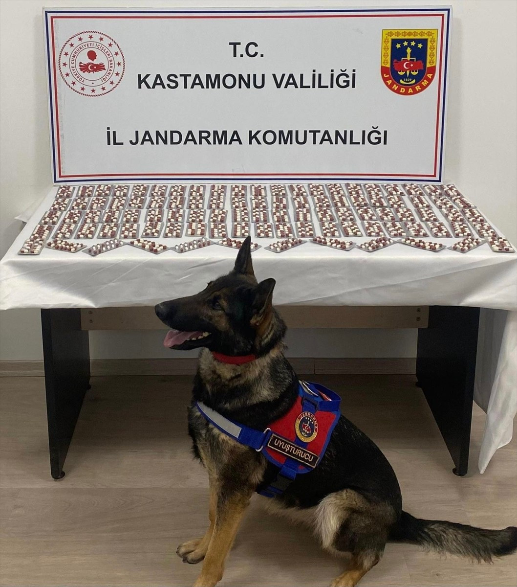 Kastamonu'nun Tosya ilçesinde 1344 uyuşturucu hapla yakalanan şüpheli tutuklandı.