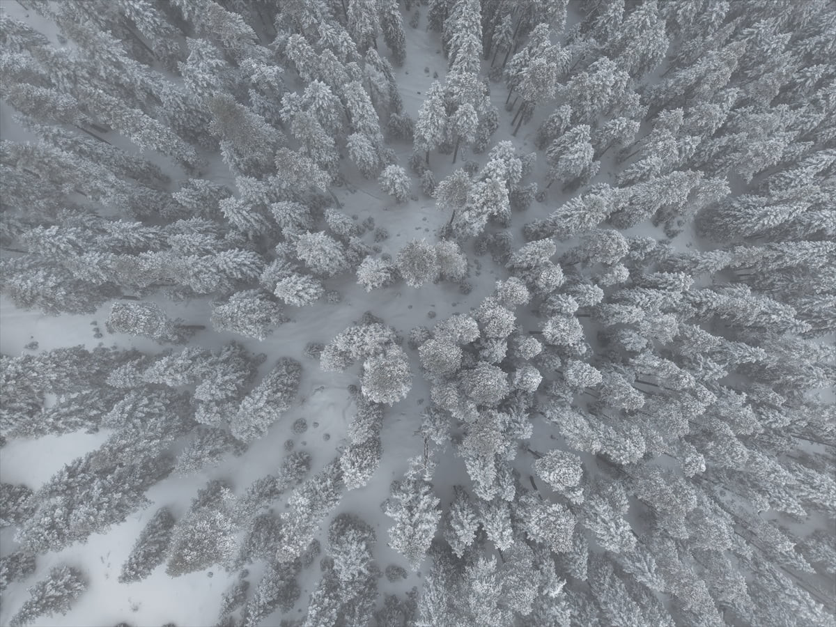 Kastamonu'nun yüksek kesimlerinde kar yağışı etkili oldu. Karla kaplanan ormanlık alanlar dronla...