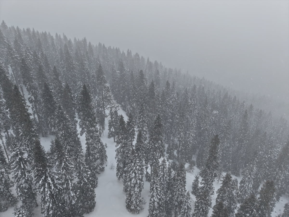 Kastamonu'nun yüksek kesimlerinde yoğun kar yağışı ve sis etkili oluyor.