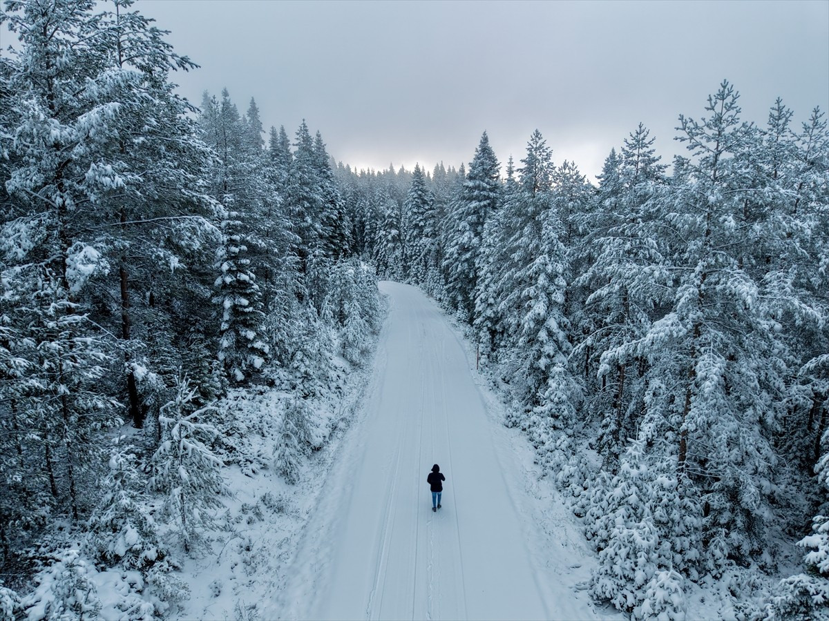 Kastamonu’nun Taşköprü ilçesinde yüksek kesimlerde kar yağışı etkili oldu.