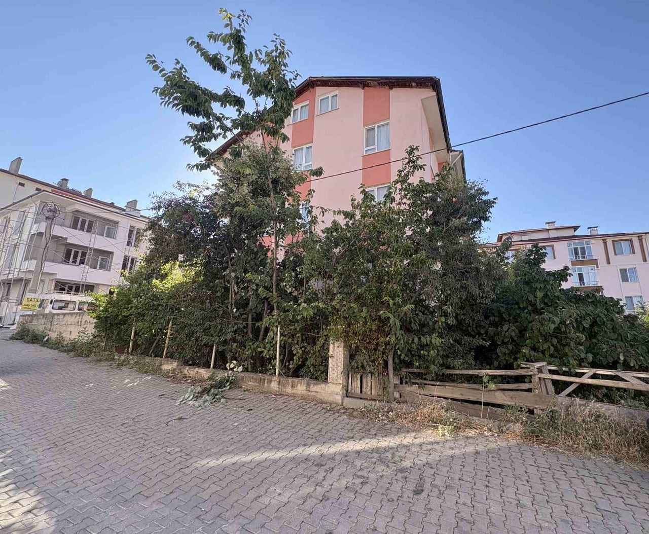 KASTAMONU’NUN TOSYA İLÇESİNDE IHLAMUR TOPLAMAK İÇİN ÇIKTIĞI AĞAÇTAN DENGESİNİ KAYBEDEREK DÜŞEN...