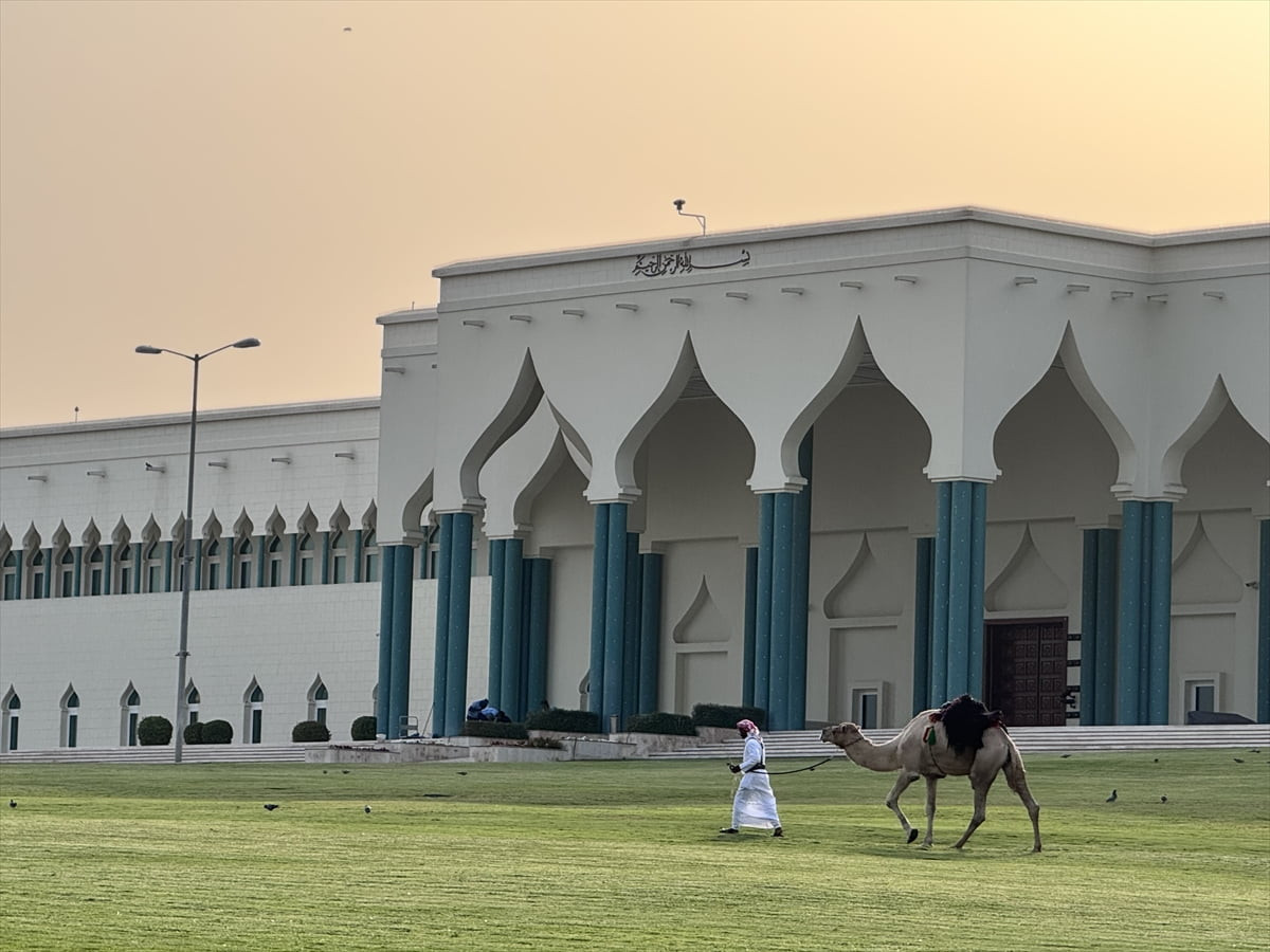  Katar’ın başkenti Doha’da Emirlik Sarayı’nın önünde her gün düzenlenen geleneksel deve geçidi...