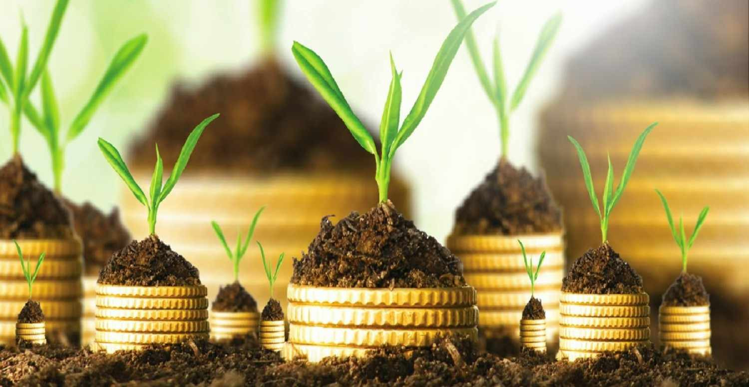 Katılım Bankası Geleceği Nedir