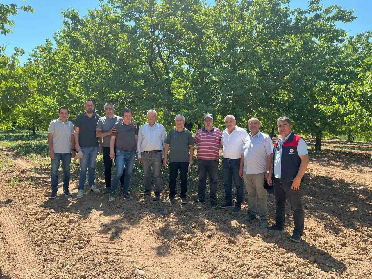 KAYISI REKOLTE TESPİT ÇALIŞMALARI SÜRÜYOR