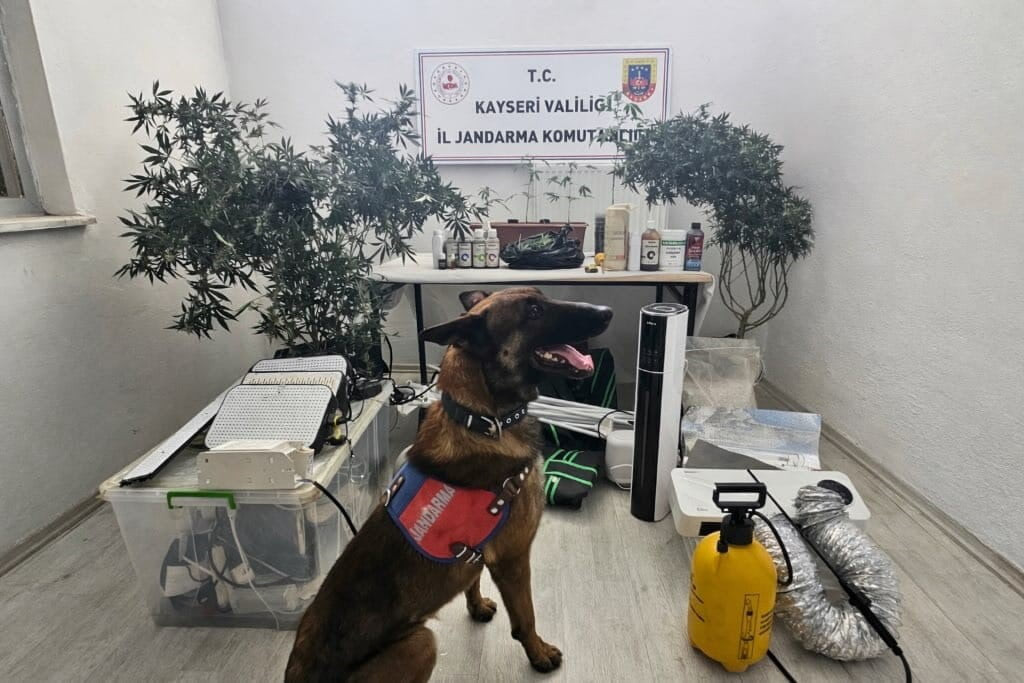 KAYSERİ İL JANDARMA KOMUTANLIĞI EKİPLERİNCE YAPILAN ÇALIŞMALARDA BİR ŞAHSIN İKAMETİNDEN ÇEŞİTLİ...