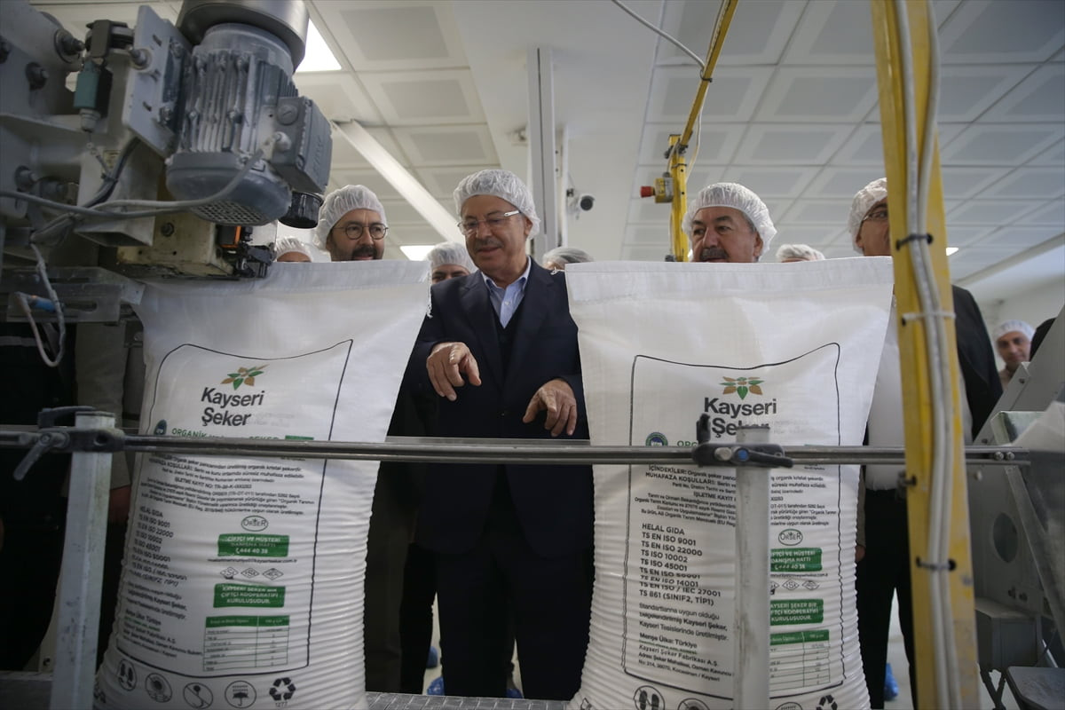 Kayseri Şeker, deneme amacıyla 40 dönümlük araziye ektiği organik şeker pancarından yaklaşık 50...