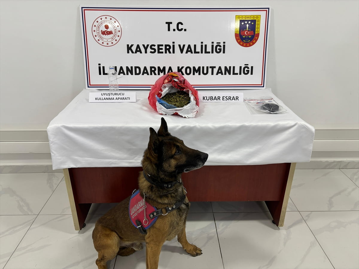 Kayseri'de jandarma ekiplerince narkotik köpeği desteğiyle düzenlenen uyuşturucu operasyonunda 3...