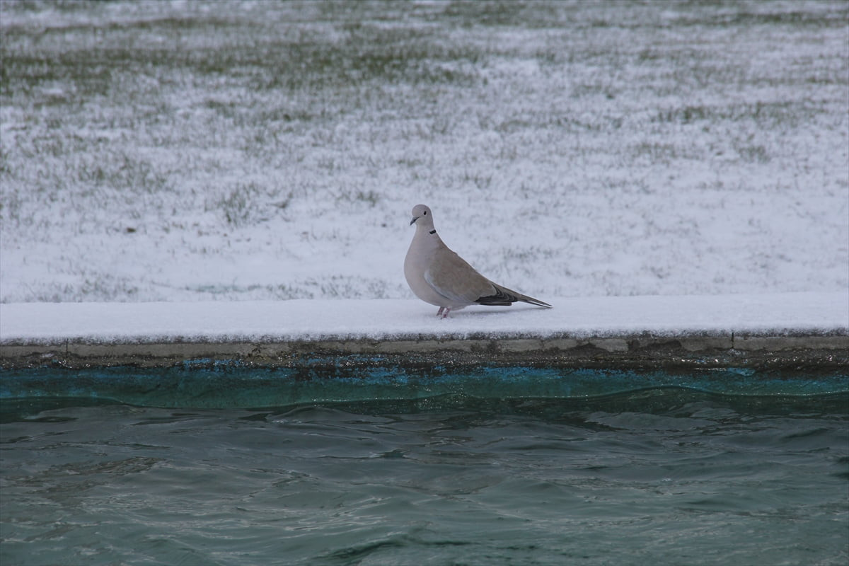 Kayseri'de kar yağışı hayatı olumsuz etkiledi. Kar nedeniyle kent merkezindeki cadde, sokak, park...