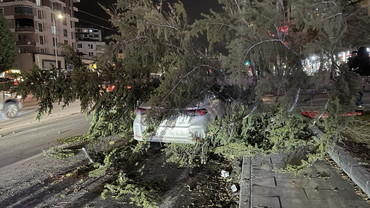Kayseri'nin Talas ilçesinde şiddetli rüzgar nedeniyle üzerine ağaç devrilen otomobilde hasar...