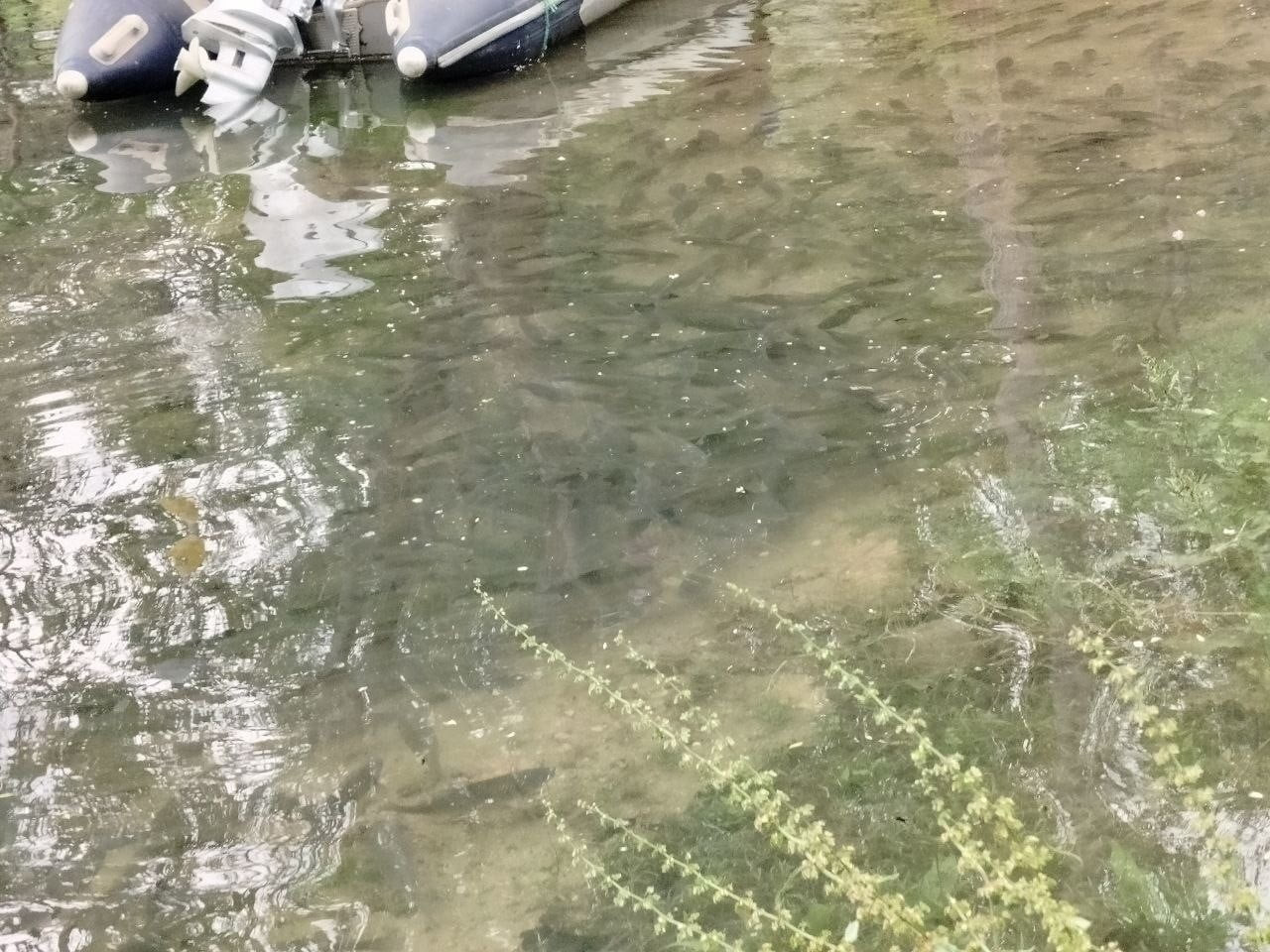 KEBAN BARAJI’NDA SAVAKLARIN AÇILMASIYLA FIRAT NEHRİ’NDE AKINTININ ŞİDDETLİ YÜKSELDİ VE BİNLERCE...