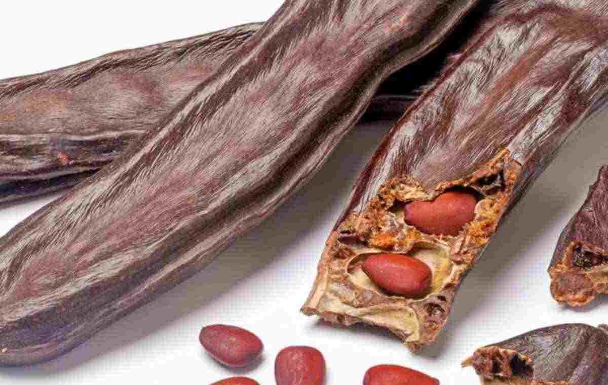 Keçiboynuzu kürü