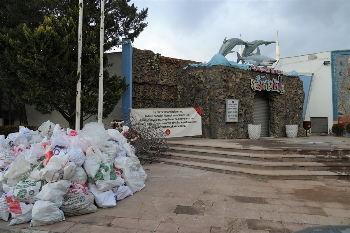 Keçiören Belediyesi, Deniz Dünyası tesisindeki çalışmalar ve burada bulunan iki timsahın ölüm...