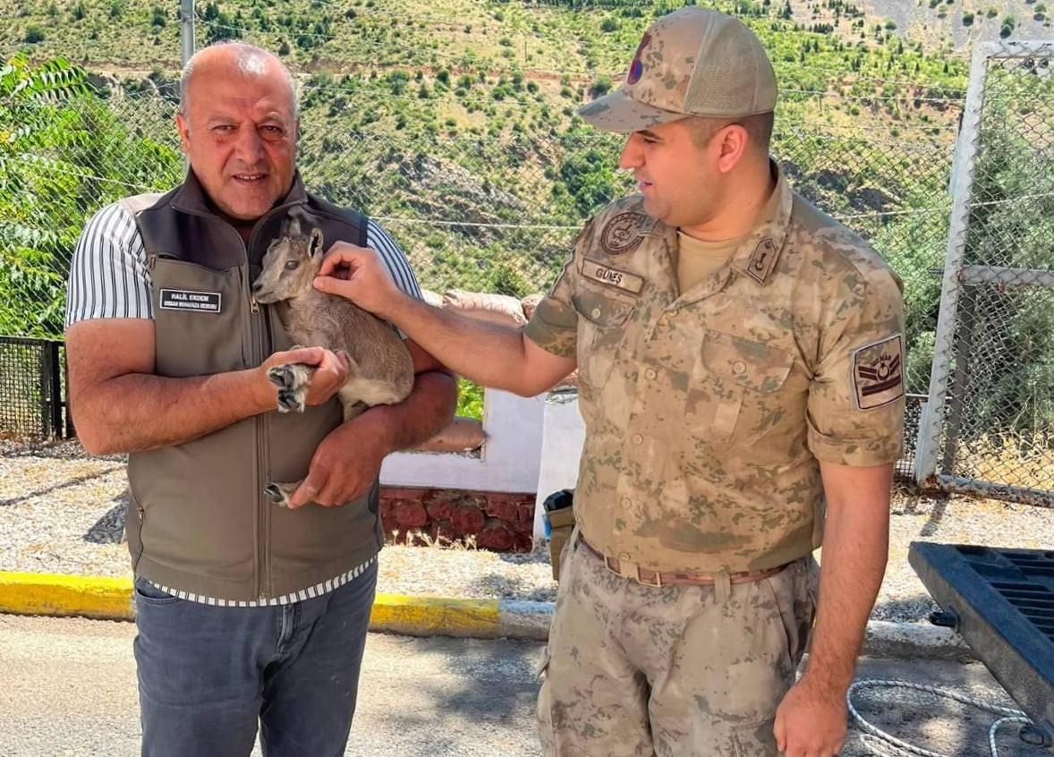 KEMALİYE'DE BİTKİN HALDE BULUNAN YAVRU DAĞ KEÇİSİ KORUMA ALTINA ALINDI