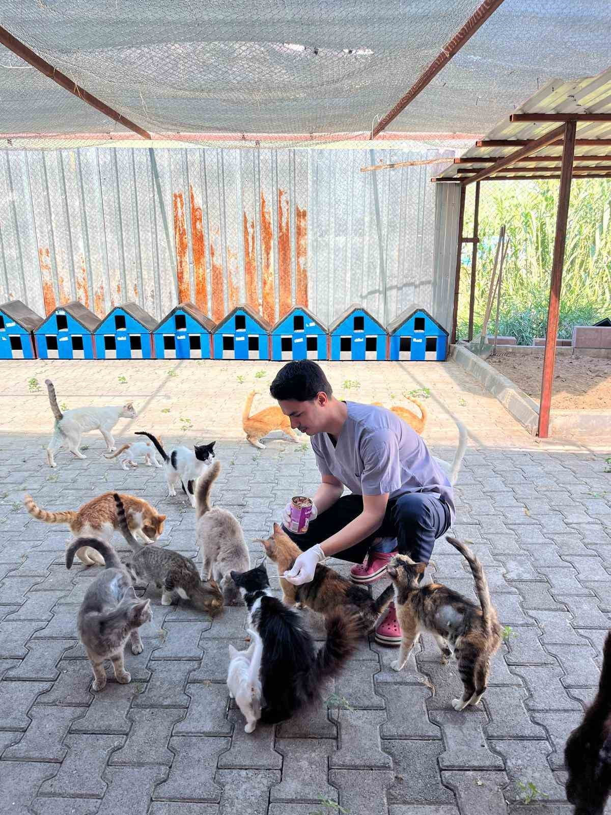 KEMER BELEDİYESİ, SAĞLIK İŞLERİ MÜDÜRLÜĞÜ'NE BAĞLI HAYVAN BARINDIRMA, TEDAVİ VE REHABİLİTASYON...