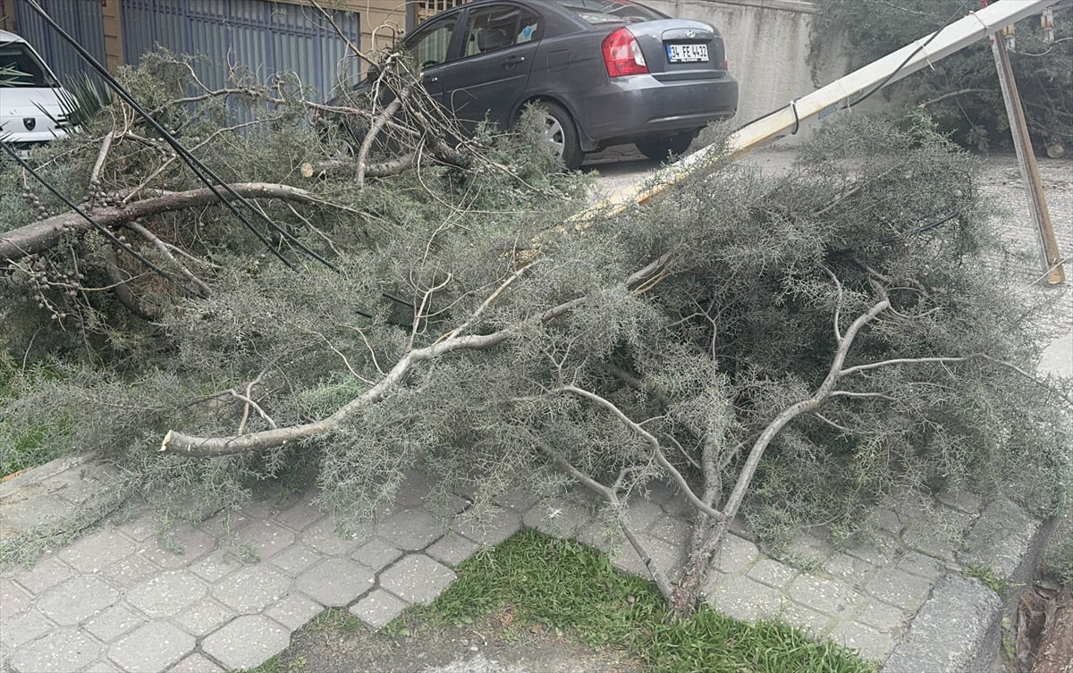 Kentte etkisini sürdüren kuvvetli lodos, hayatı olumsuz etkilemeye devam ediyor. İstanbul'da...