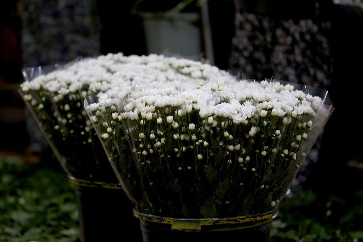 Kesme çiçek üretiminin yoğun yapıldığı Antalya'da, çiçek mezatlarında Öğretmenler Günü dolayısıyla...