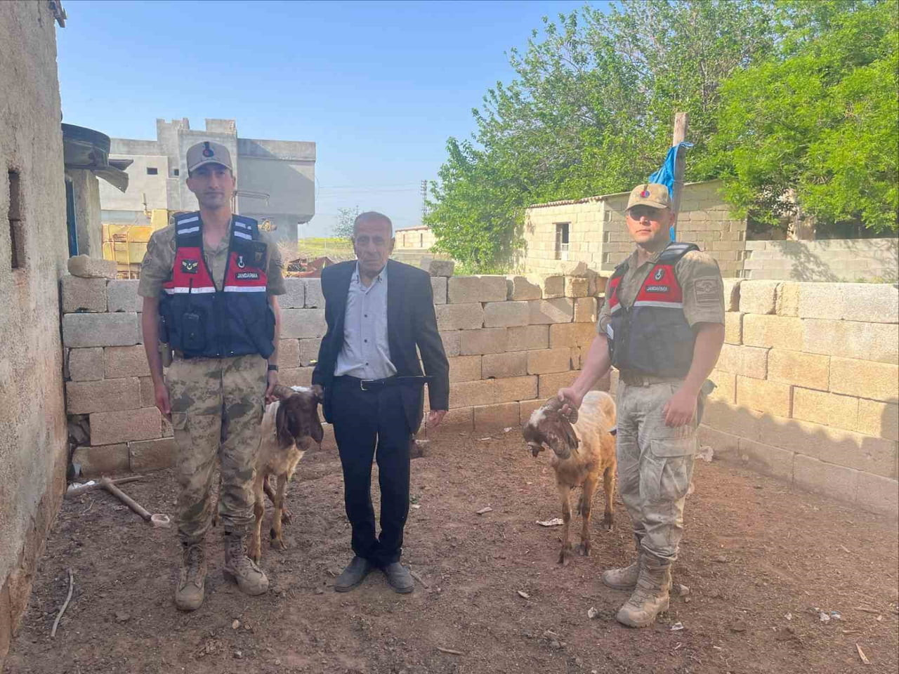 KİLİS’TE KAYBOLAN KOYUNLAR JANDARMA EKİPLERİNCE BULUNDU