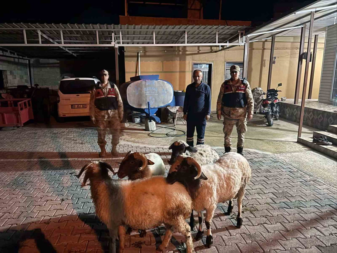 KİLİS’TE KAYIP KÜÇÜKBAŞ HAYVANLAR BULUNDU