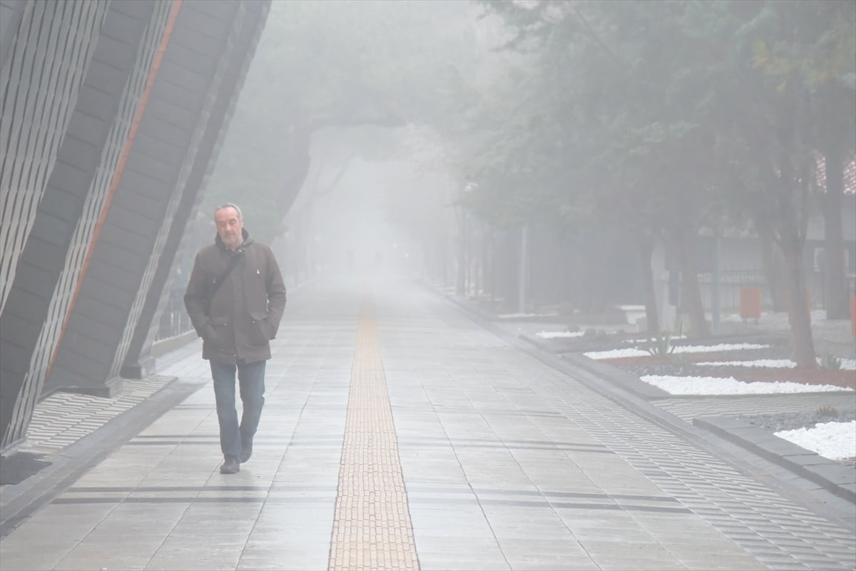 Kırklareli'nde dün akşam başlayan sis sabah etkisini artırdı. Sis nedeniyle görüş mesafesi yer yer...