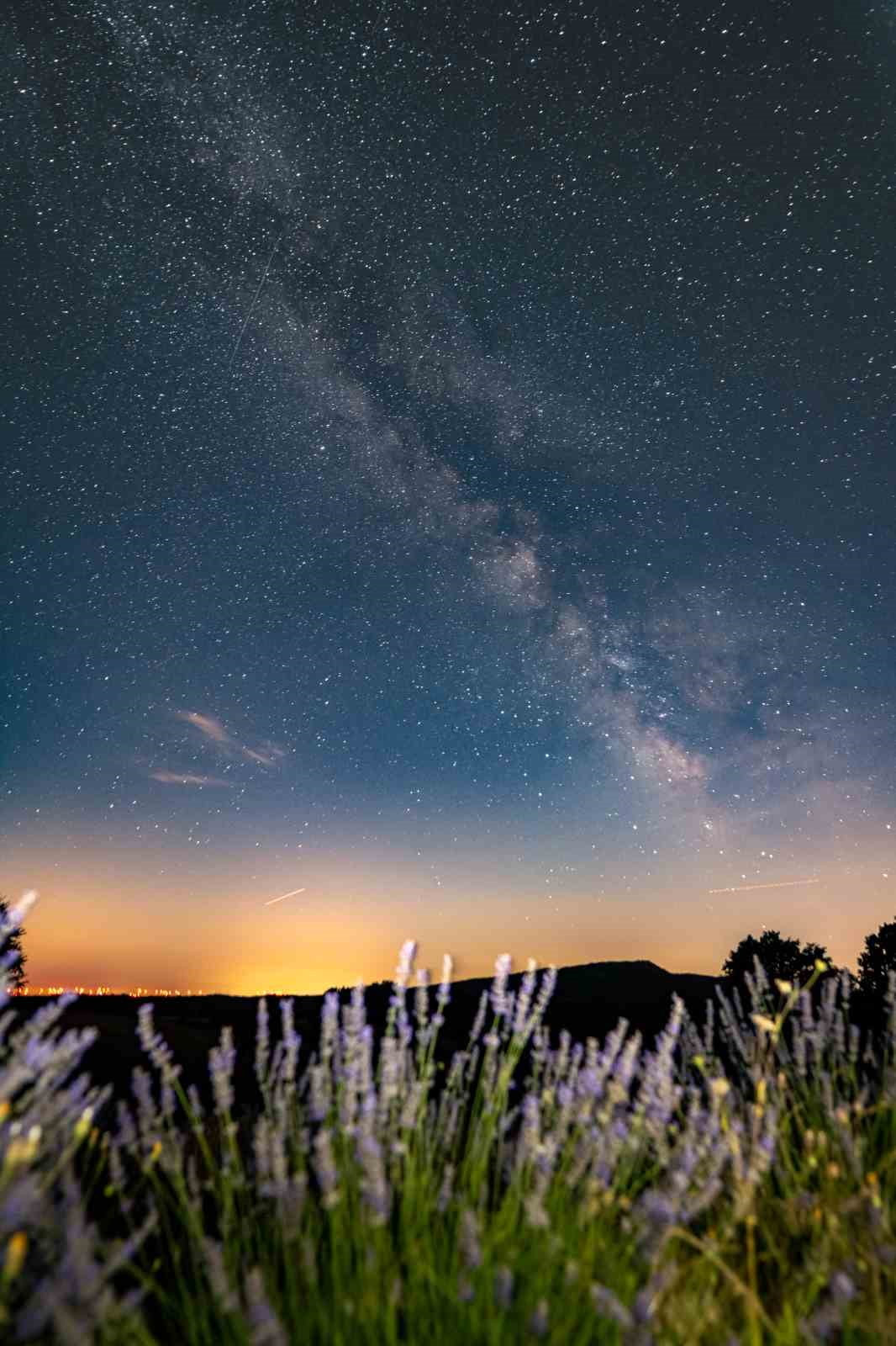 KIRKLARELİ'NDE LAVANTALARLA BİRLİKTE ÇEKİLEN SAMANYOLU GALAKSİSİ VE YILDIZLARIN FOTOĞRAFLARI...