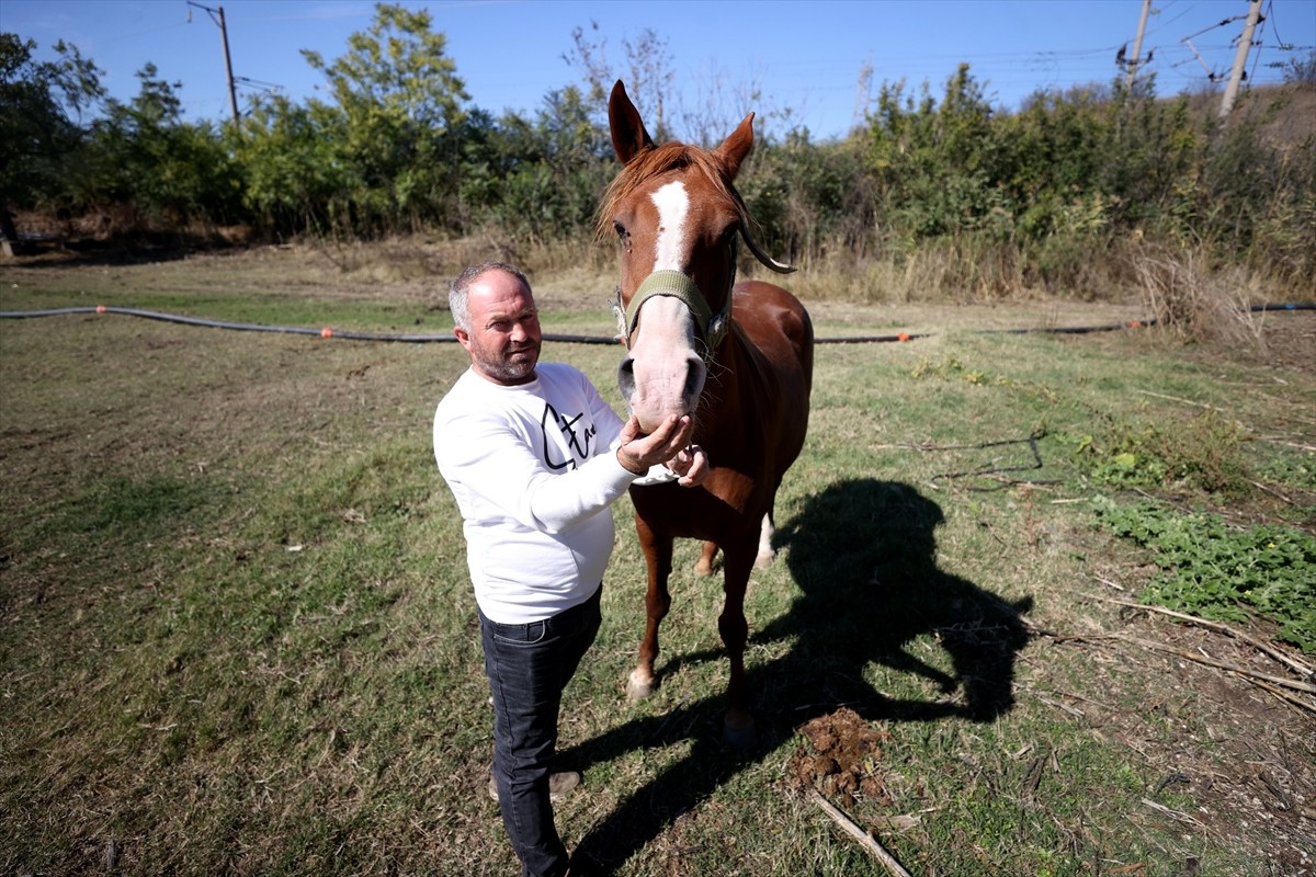 Kırklareli'nin Babaeski ilçesine bağlı Büyükmandıra beldesinde yaşayan Akman Akay, yaklaşık 10 yıl...