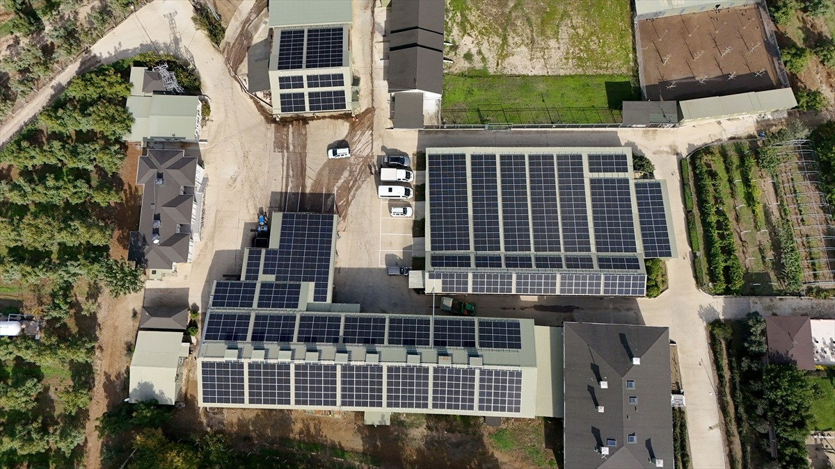 Kırklareli'nin Demirköy ilçesinde 1200 dekar kıraç alanda 30 bin ceviz ağacıyla yıllık 200 ton...