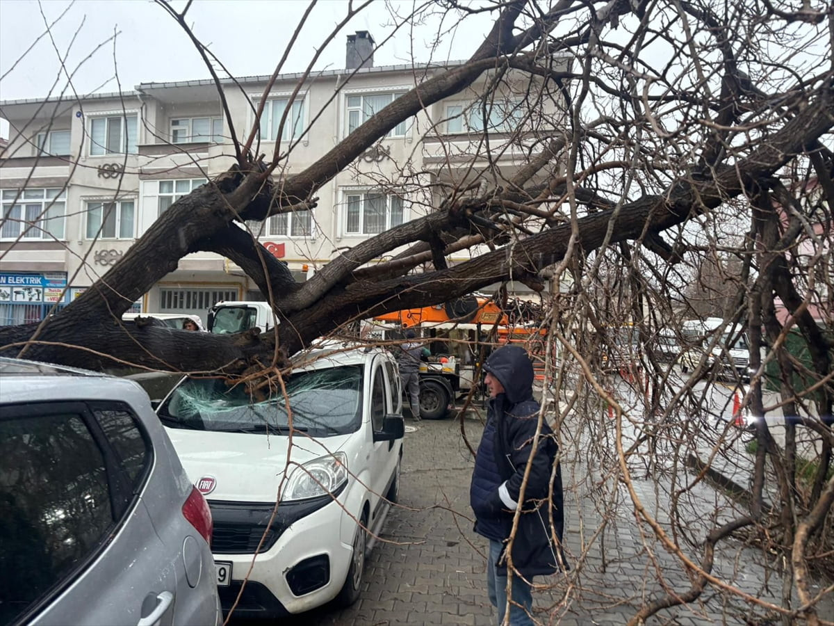 Kırklareli'nin Lüleburgaz ilçesinde fırtına nedeniyle devrilen ağaç, bir otomobilde hasar...