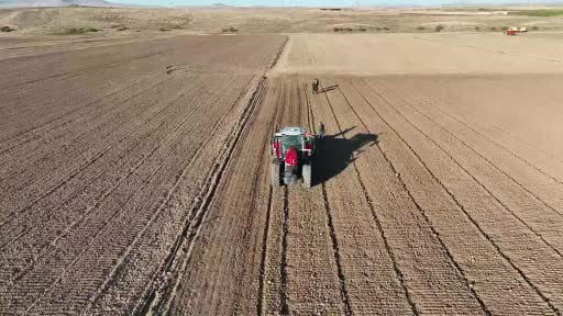 Kırşehir'de rakımı düşük bölgelerde hasat başladı