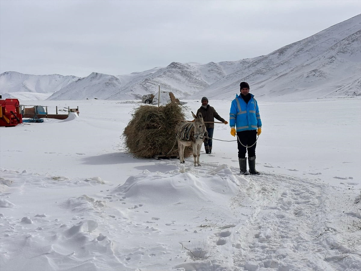Kış mevsiminin çetin geçtiği Van'ın Gürpınar ilçesinde besiciler, zor koşullarda hayvanlarının...