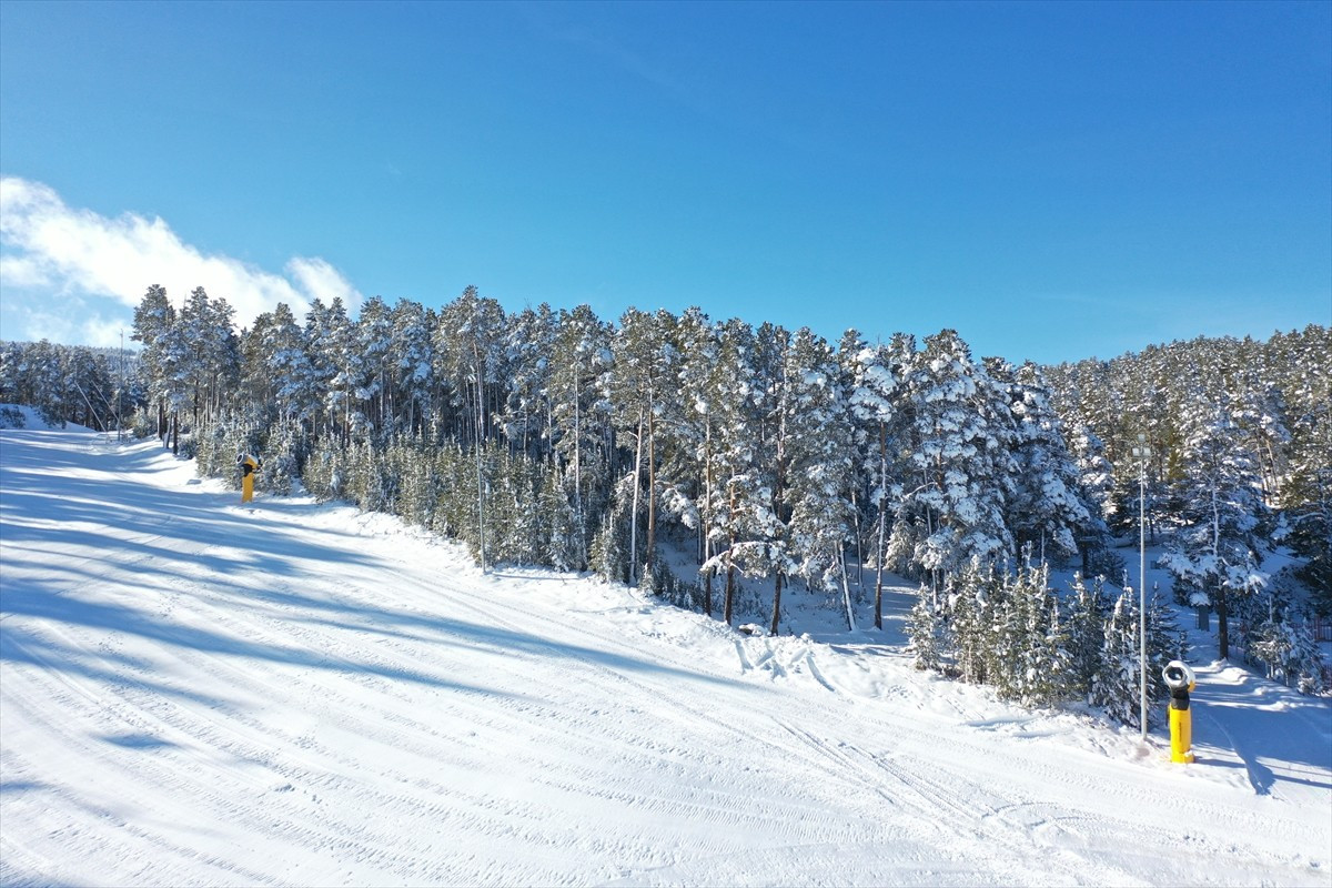 Kış mevsiminin uzun ve çetin geçtiği Kars'ın Sarıkamış ilçesinde, sarıçam ormanları kar yağışının...