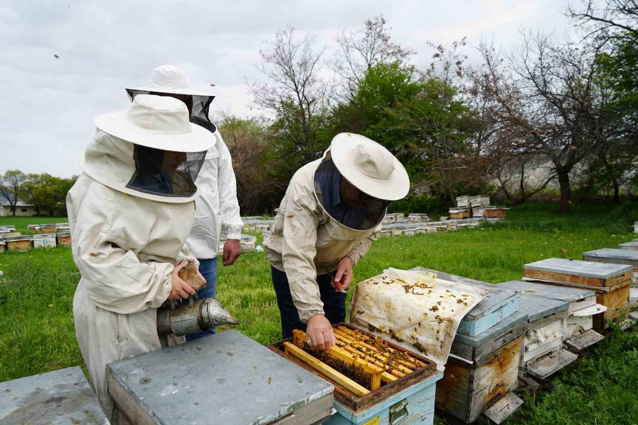 KIŞ UYKUSUNDAN UYANAN ARILAR ERZİNCAN’DA YENİ SEZONA HAZIRLANIYOR