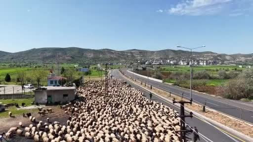 Kışlıklardan çıkan göçerlerin zorlu yolculuğu böyle görüntülendi