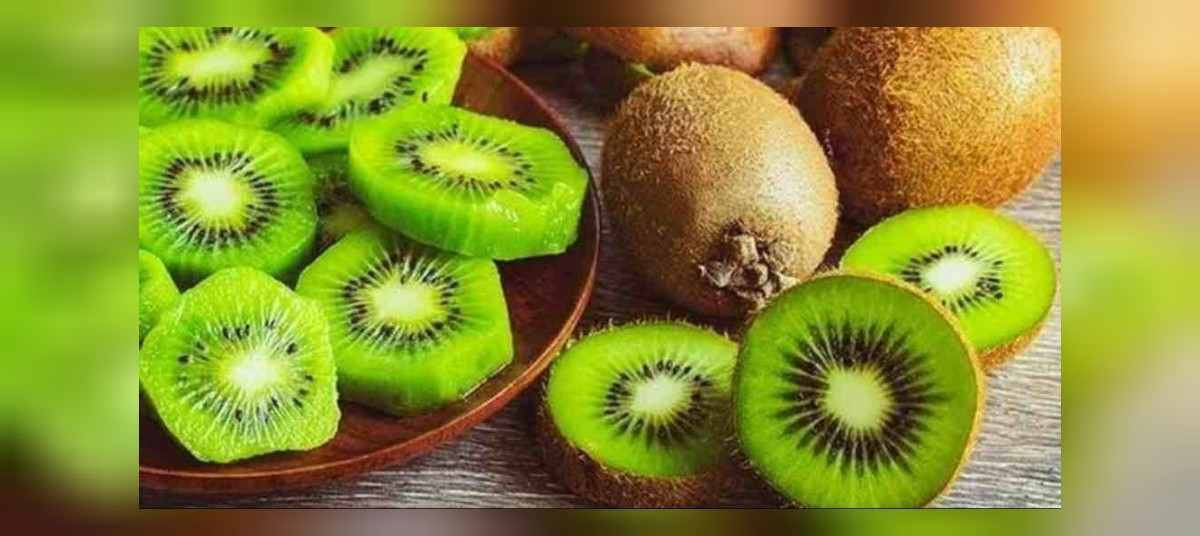 KİVİ DİYETİ NEDİR
