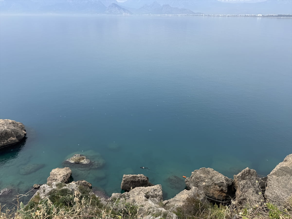 Kızıldeniz üzerinden gelen ve Antalya Körfezi'nde yoğun olarak görülmeye başlanan denizanalarının...