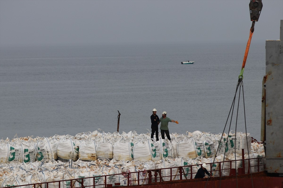 Kocaeli'nin Kandıra ilçesinde 18 Eylül'de karaya oturan gemideki yükleri boşaltma çalışması...