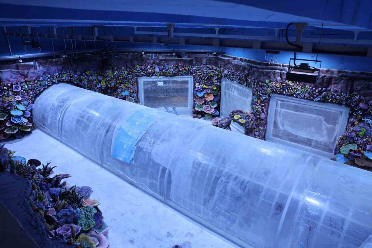 KOCAELİ'YE KAZANDIRILACAK "AKVARYUM PROJESİ’NDE" GERİ SAYIM BAŞLADI. TÜRKİYE’DE İLK OLACAK TATLI...