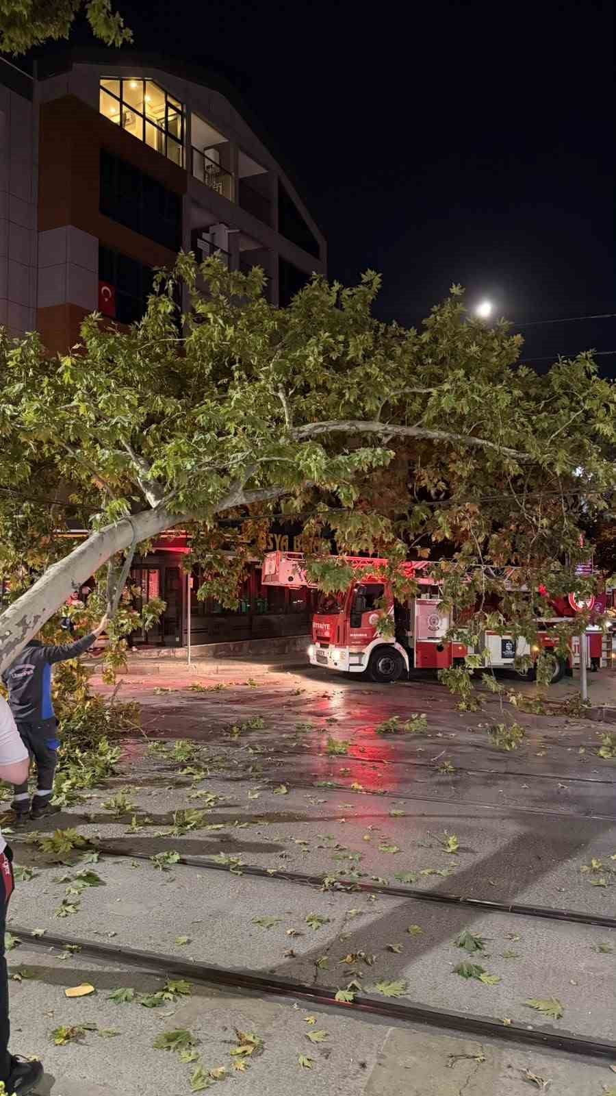 KOCAELİ’NİN İZMİT İLÇESİNDE ÇINAR AĞACINDAN KOPAN DALIN TRAMVAY HATTINA DÜŞMESİYLE TRAMVAY...
