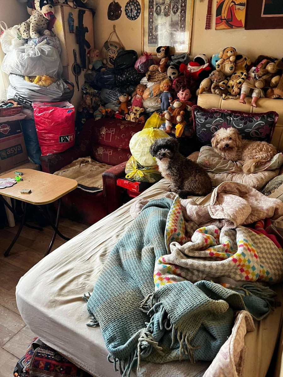 Kocaeli’nin Kandıra ilçesinde bir evde kötü koşullarda tutulan 38 köpek ve 17 kedi, ekipler...