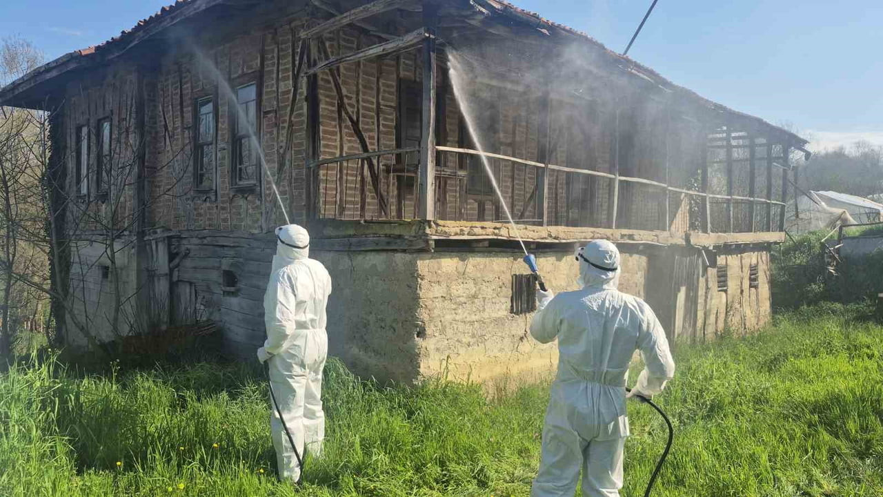 KOKARCAYA KARŞI BARTIN'DA 2023 YILINDA BAŞLATILAN MÜCADELE YOĞUN BİR ŞEKİLDE YÜRÜTÜLÜYOR.