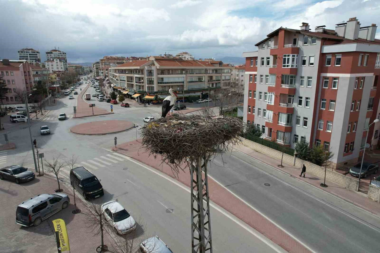KONYA ŞEHİR MERKEZİNDE BAHARIN HABERCİSİ LEYLEKLER, BU YIL DA YILLARDIR YUVA TUTTUKLARI DİREĞE...