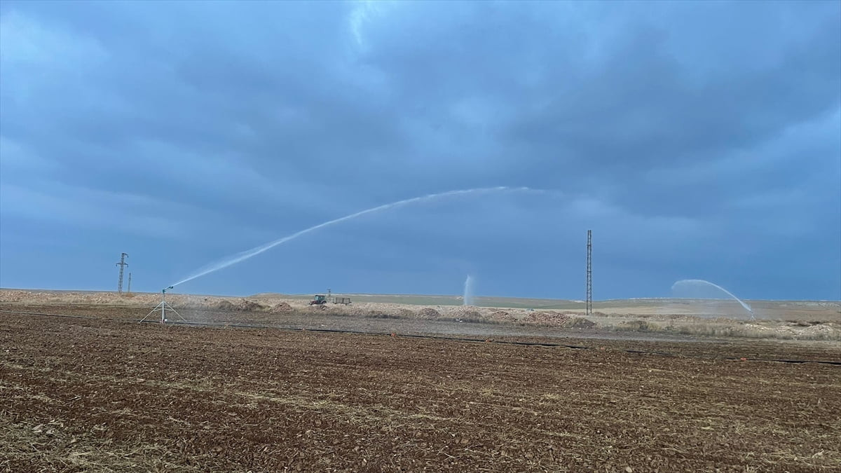 Konya'da tarımda suyun daha verimli kullanılması amacıyla geliştirilen akıllı sulama projesiyle...