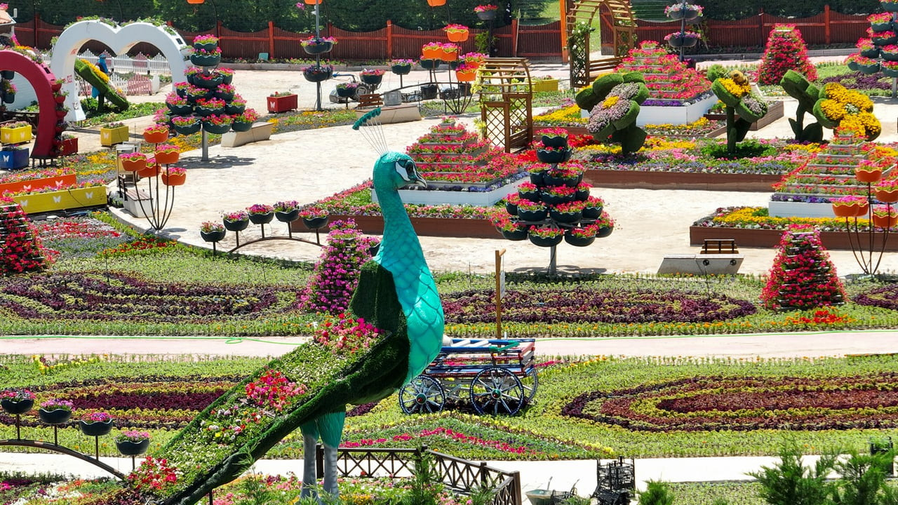 KONYA'NIN MERKEZ SELÇUKLU İLÇESİNİN EN RENKLİ ROTASI OLAN VE BİNLERCE ÇİÇEĞE EV SAHİPLİĞİ YAPAN...